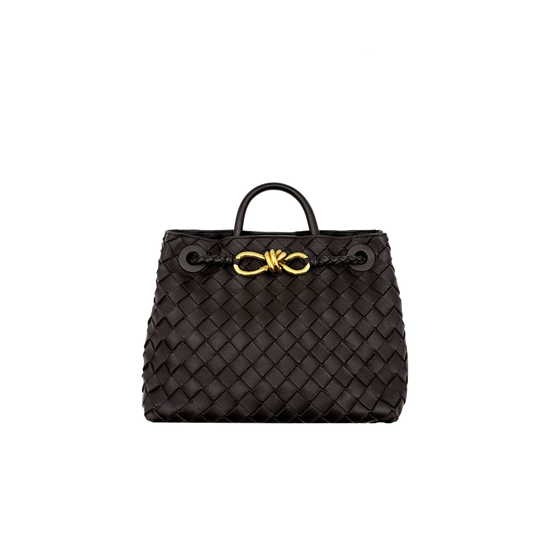 Bottega Veneta Small Andiamo  - Fondant