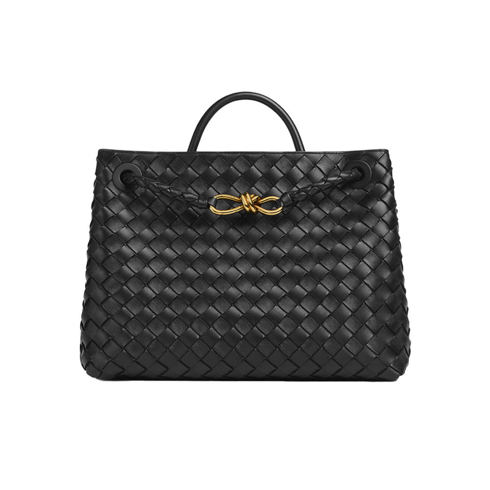 Bottega Veneta Medium Andiamo  - Black