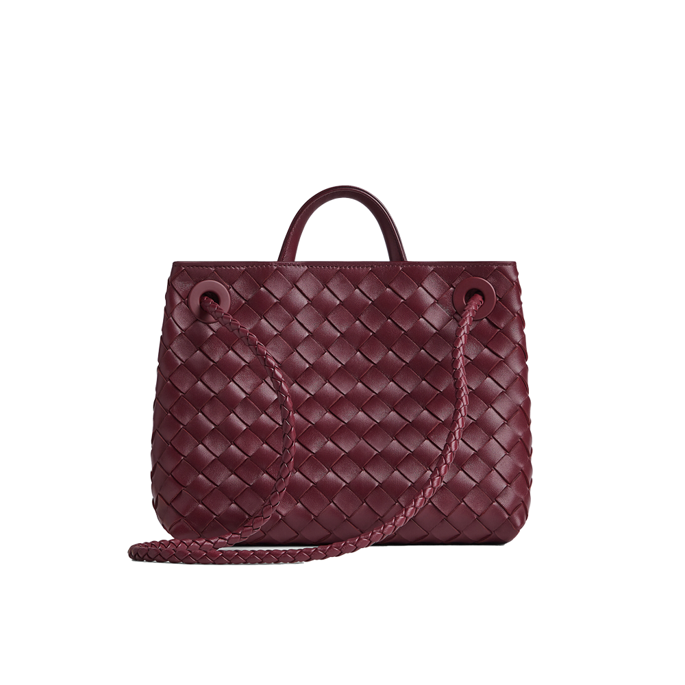 Bottega Veneta Small Andiamo  - Barolo