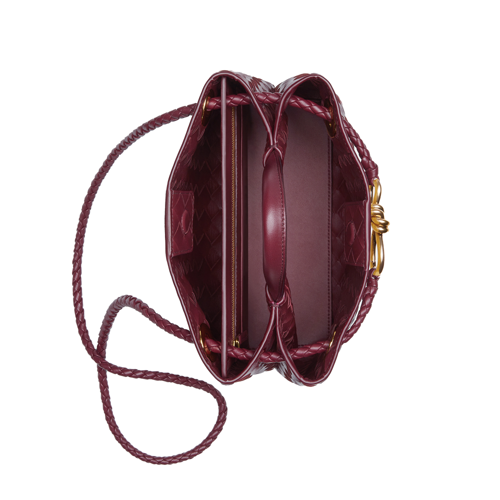 Bottega Veneta Small Andiamo  - Barolo