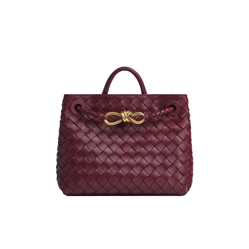 Bottega Veneta Small Andiamo  - Barolo