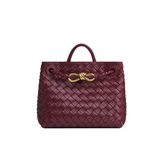 Bottega Veneta Small Andiamo  - Barolo