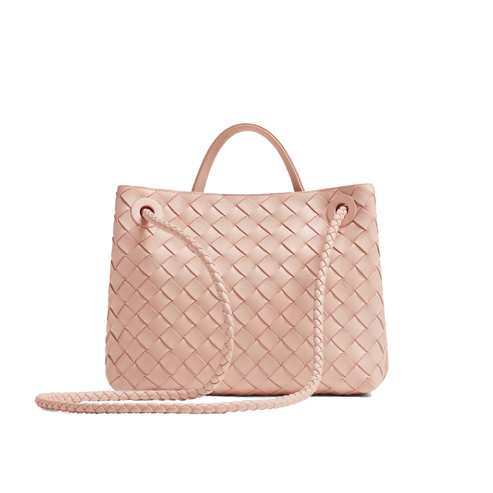 Bottega Veneta Small Andiamo  - Lotus