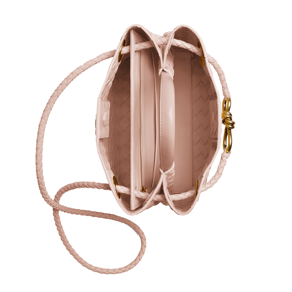 Bottega Veneta Small Andiamo  - Lotus