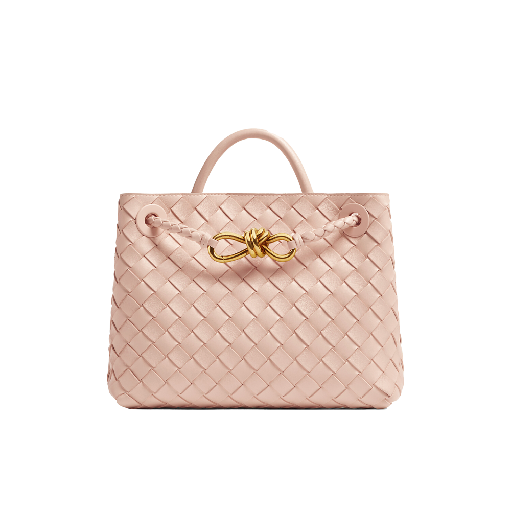Bottega Veneta Small Andiamo  - Lotus