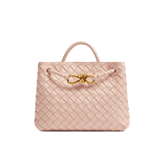 Bottega Veneta Small Andiamo  - Lotus