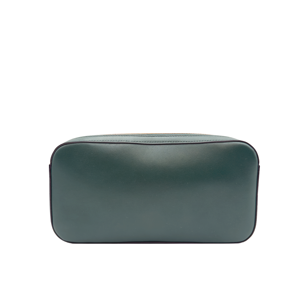 Celine Triomphe Camera Bag - Amazone